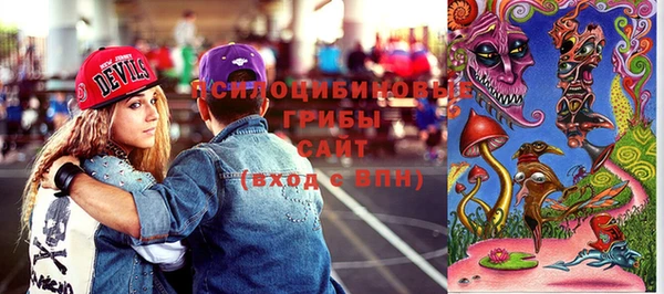 трава Аркадак