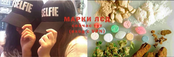 трава Аркадак