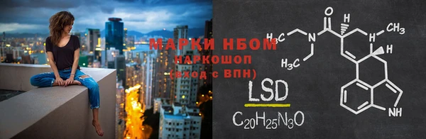 трава Аркадак