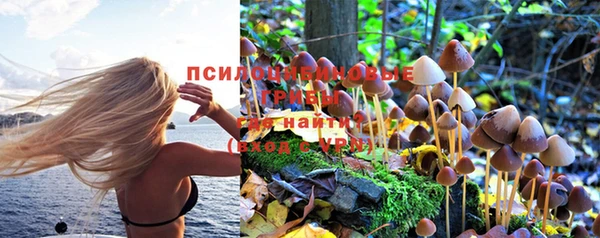 марки lsd Армянск