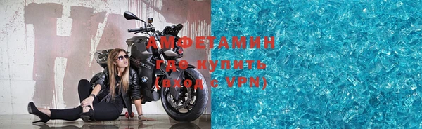 трава Аркадак