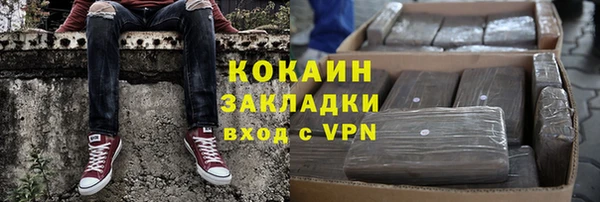 ГАЛЛЮЦИНОГЕННЫЕ ГРИБЫ Козловка